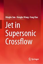 Télécharger le livre :  Jet in Supersonic Crossflow