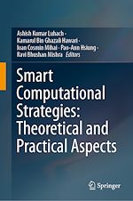 Télécharger le livre :  Smart Computational Strategies: Theoretical and Practical Aspects