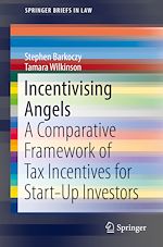 Download this eBook Incentivising Angels