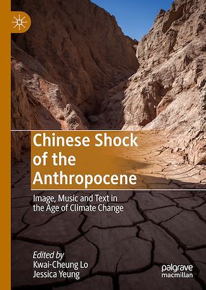 Téléchargez le livre :  Chinese Shock of the Anthropocene