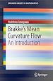 Télécharger le livre :  Brakke's Mean Curvature Flow