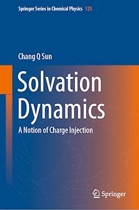 Télécharger le livre :  Solvation Dynamics