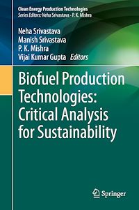 Télécharger le livre :  Biofuel Production Technologies: Critical Analysis for Sustainability
