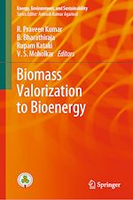 Télécharger le livre :  Biomass Valorization to Bioenergy