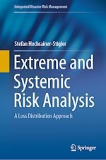 Télécharger le livre :  Extreme and Systemic Risk Analysis