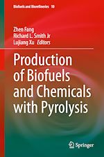 Télécharger le livre :  Production of Biofuels and Chemicals with Pyrolysis