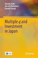 Télécharger le livre :  Multiple q and Investment in Japan