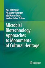 Télécharger le livre :  Microbial Biotechnology Approaches to Monuments of Cultural Heritage