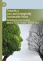 Télécharger le livre :  Towards a Just and Ecologically Sustainable Peace