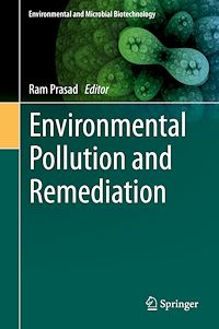 Télécharger le livre :  Environmental Pollution and Remediation