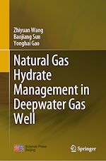 Télécharger le livre :  Natural Gas Hydrate Management in Deepwater Gas Well