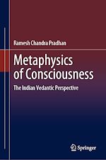 Télécharger le livre :  Metaphysics of Consciousness