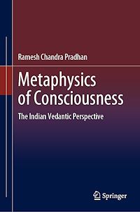 Télécharger le livre :  Metaphysics of Consciousness