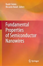 Télécharger le livre :  Fundamental Properties of Semiconductor Nanowires
