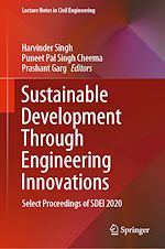 Download this eBook Sustainable Development Through Engineering Innovations