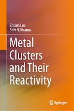 Télécharger le livre :  Metal Clusters and Their Reactivity