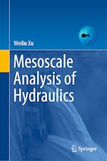 Download this eBook Mesoscale Analysis of Hydraulics