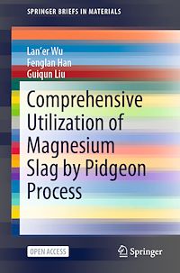 Télécharger le livre :  Comprehensive Utilization of Magnesium Slag by Pidgeon Process