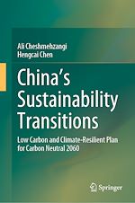 Télécharger le livre :  China's Sustainability Transitions