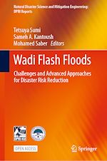 Download this eBook Wadi Flash Floods