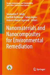 Télécharger le livre :  Nanomaterials and Nanocomposites for Environmental Remediation