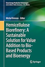 Télécharger le livre :  Hemicellulose Biorefinery: A Sustainable Solution for Value Addition to Bio-Based Products and Bioenergy