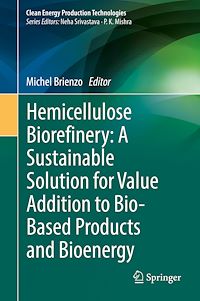 Télécharger le livre :  Hemicellulose Biorefinery: A Sustainable Solution for Value Addition to Bio-Based Products and Bioenergy