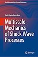 Télécharger le livre :  Multiscale Mechanics of Shock Wave Processes