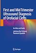 Télécharger le livre :  First and Mid Trimester Ultrasound Diagnosis of Orofacial Clefts