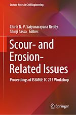 Download this eBook Scour- and Erosion-Related Issues
