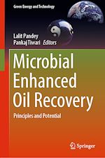 Télécharger le livre :  Microbial Enhanced Oil Recovery