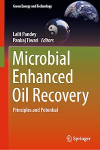 Télécharger le livre :  Microbial Enhanced Oil Recovery