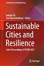 Download this eBook Sustainable Cities and Resilience