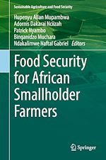Télécharger le livre :  Food Security for African Smallholder Farmers