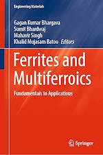 Télécharger le livre :  Ferrites and Multiferroics