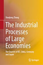 Télécharger le livre :  The Industrial Processes of Large Economies