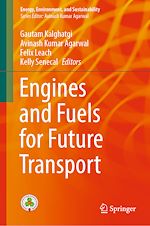 Télécharger le livre :  Engines and Fuels for Future Transport