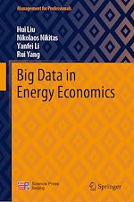 Download this eBook Big Data in Energy Economics