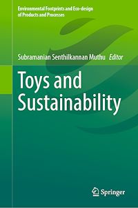 Télécharger le livre :  Toys and Sustainability