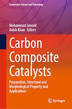 Télécharger le livre :  Carbon Composite Catalysts