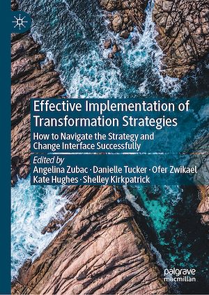 Téléchargez le livre :  Effective Implementation of Transformation Strategies