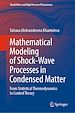 Télécharger le livre :  Mathematical Modeling of Shock-Wave Processes in Condensed Matter