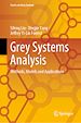 Télécharger le livre :  Grey Systems Analysis