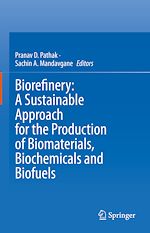 Télécharger le livre :  Biorefinery: A Sustainable Approach for the Production of Biomaterials, Biochemicals and Biofuels