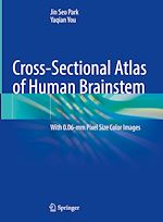 Télécharger le livre :  Cross-Sectional Atlas of Human Brainstem