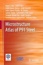 Télécharger le livre :  Microstructure Atlas of P91 Steel