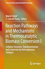 Télécharger le livre :  Reaction Pathways and Mechanisms in Thermocatalytic Biomass Conversion I