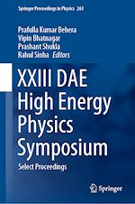 Télécharger le livre :  XXIII DAE High Energy Physics Symposium