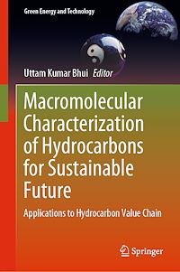 Télécharger le livre :  Macromolecular Characterization of Hydrocarbons for Sustainable Future