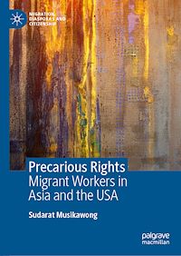 Download this ebook Precarious Rights